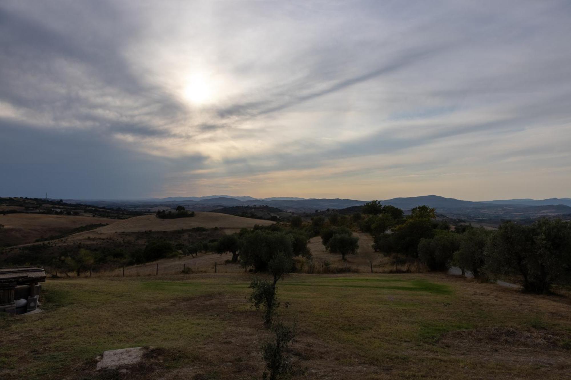 Tenuta Fattoria Vecchia Scansano Eksteriør billede