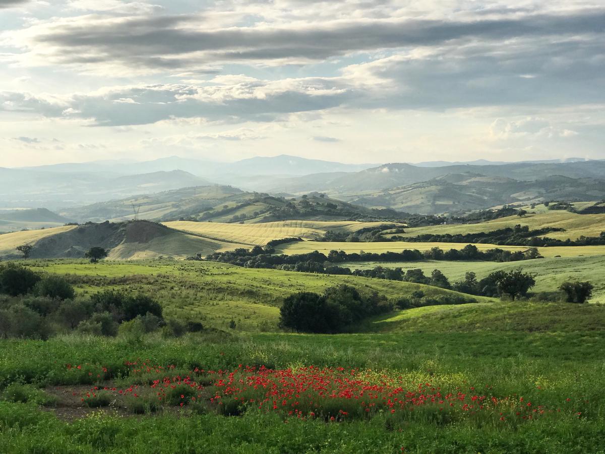 Tenuta Fattoria Vecchia Scansano Eksteriør billede